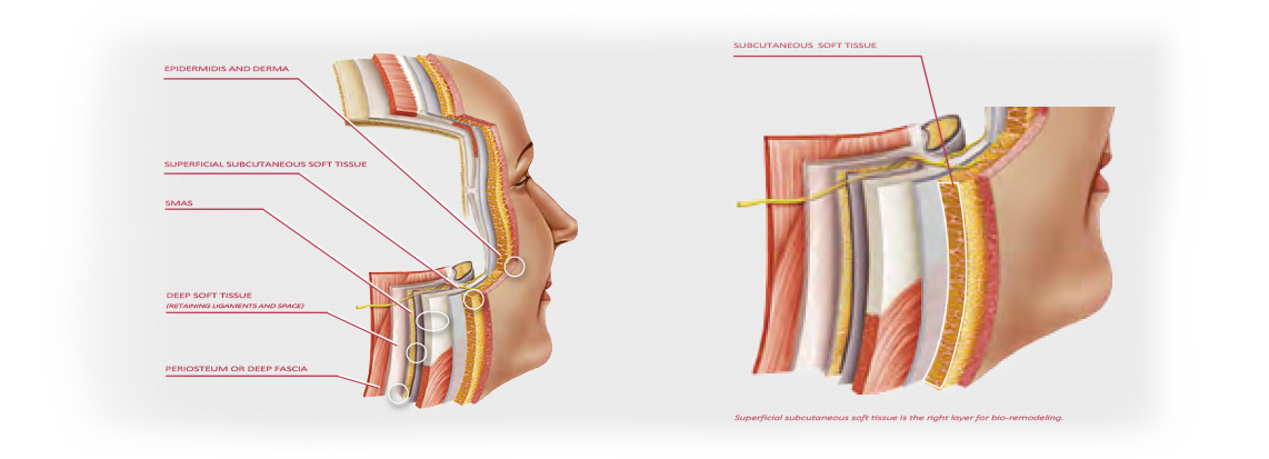 treatment-protocal-2